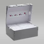 ジョーダン デイ1 EO ジュニアシューズ