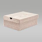 Air Jordan 3 Retro 男鞋