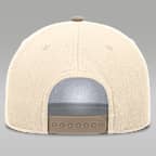 Michigan Natural Rise Men's Jordan Brand Dri-FIT College A-Frame Adjustable Hat