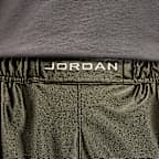 Jordan Brooklyn Cat Scratch Men's Shorts