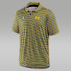 Michigan Tour Stripe Men's Jordan Brand Dri-FIT College Polo