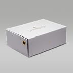 Air Jordan XXXVI SE PF Shoes