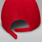 Jordan Pro Structured Hat