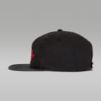 Jordan Pro Unstructured Wings Hat
