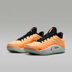 Zion 4 PF Basketball Shoes