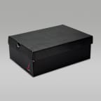 エア ジョーダン 3 レトロ "Rare Air"　ジュニアシューズ