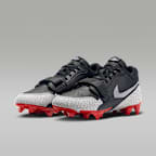 Jordan Legacy 312 Low TD Men's Shoes