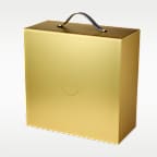 LeBron XXIII Elite 'Good Intentions' Basketball Shoes