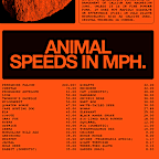 Nike ACG “Fossil” Poster 22" x 34"