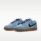 Nike Dunk Low Retro Men's Shoes