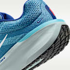 Nike Winflo 11 Men's Road Running Shoes