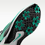 나이키 페가수스 1 G 남성 골프화(와이드)