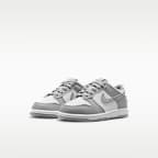 Nike Dunk Low Little Kids' Shoes