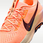 Nike Pegasus Trail 5 Traillaufschuh (Herren)