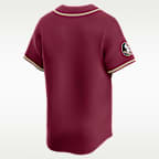 Florida State Wordmark Men's Nike College Limited Baseball Jersey