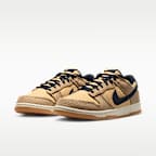 Nike Dunk Low Retro SE Men's Shoes
