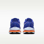 Nike Pegasus Premium Men's Road Running Shoes