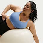Nike Indy Light Support Women's Padded Adjustable Sports Bra (Plus Size)