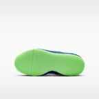 ナイキ ハッスル D 12 x LEGO® コレクション ジュニア バスケットボールシューズ