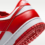 Nike Dunk Low Retro Men's Shoes