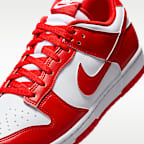 Nike Dunk Low Retro Men's Shoes