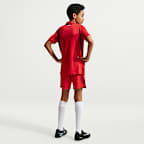 Turkije 2026 Nike Dri-FIT replicavoetbalshirt voor heren