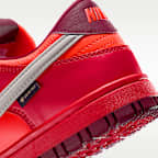 Nike Dunk Low GORE-TEX Men's Shoes