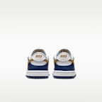 Nike Dunk Low Baby/Toddler Shoes