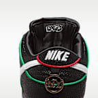 รองเท้าสเก็ตบอร์ด Nike SB Dunk Low Pro