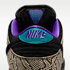 Nike SB Dunk Low x Dashawn Jordan Skate Shoes