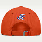 Florida Natural Club Men's Nike College Adjustable Hat
