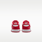 Nike Dunk Low Little Kids' Shoes