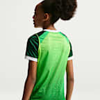 Jersey de fútbol de manga corta Nike Dri-FIT de Nigeria local 2026 Stadium para niños talla grande