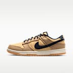 Nike Dunk Low Retro SE Men's Shoes