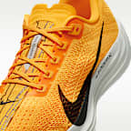 Nike Pegasus Plus LV8 Men's Road Running Shoes