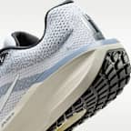 Nike Winflo 11 Men's Road Running Shoes