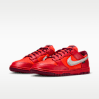 Nike Dunk Low GORE-TEX Men's Shoes