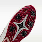 ナイキ ビクトリー ツアー 4 ゴルフシューズ (ワイド)