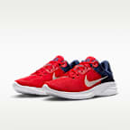 Nike Flex Experience Run 11 Men's Road Running Shoes