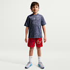 Nike Multi Big Kids' (Boys') Dri-FIT Training Shorts