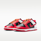 Nike Dunk Low Retro Men's Shoes