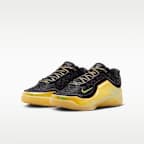 LeBron XXIII 'Hurt Feelings Write History' Older Kids' Basketball Shoes