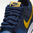 Nike Dunk Low Big Kids' Shoes