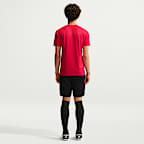 Turkey 2026 Strike Short-Sleeve Top Men's Nike Dri-FIT Short-Sleeve Football Top