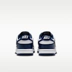 Nike Dunk Low Retro Men's Shoes