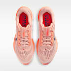 Nike Pegasus Premium Men's Road Running Shoes