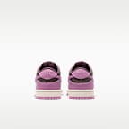 Nike Dunk Low Baby/Toddler Shoes