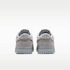 Nike Dunk Low Retro SE Men's Shoes