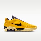 르브론 위트니스 IX EP 농구화