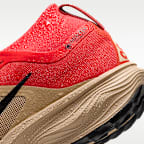 ACG ペガサス トレイル GORE-TEX メンズ 防水 トレイル ランニングシューズ